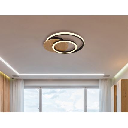 Globo - LED Stropna svetilka LED/24W/230V črna