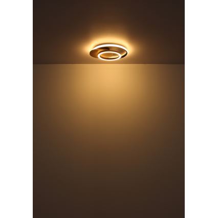 Globo - LED Stropna svetilka LED/24W/230V črna