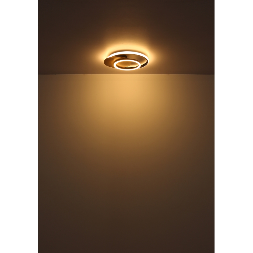 Globo - LED Stropna svetilka LED/24W/230V črna