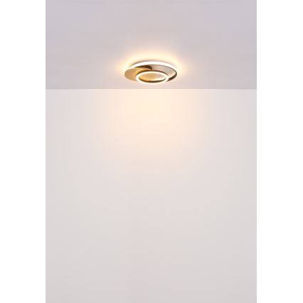 Globo - LED Stropna svetilka LED/24W/230V črna