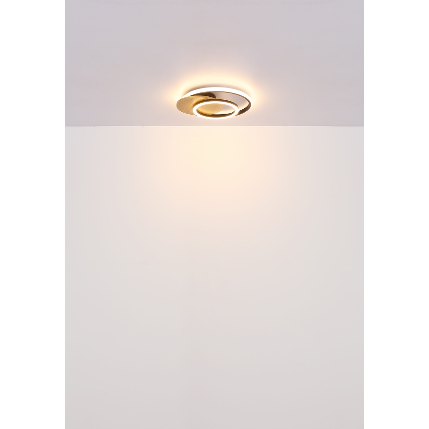 Globo - LED Stropna svetilka LED/24W/230V črna