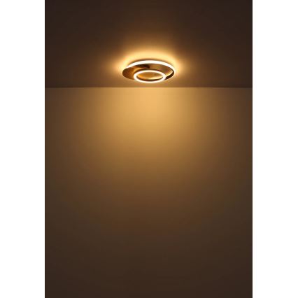 Globo - LED Stropna svetilka LED/24W/230V
