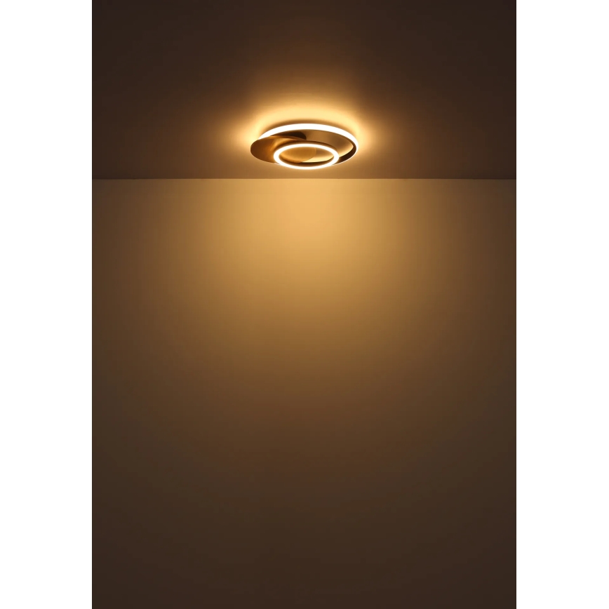 Globo - LED Stropna svetilka LED/24W/230V