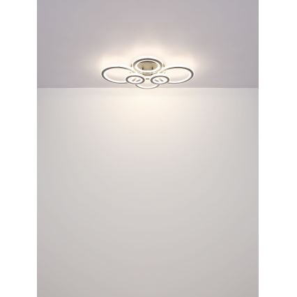 Globo - LED Zatemnitvena stropna svetilka LED/60W/230V 2700-6000K 56x78 cm antracit + Daljinski upravljalnik