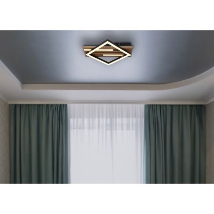 Globo - LED stropna svetilka LED/12W/230V + LED/7W 3000K 31x33 cm