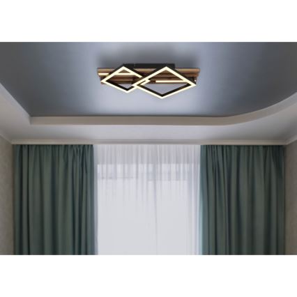 Globo - LED stropno svetilo ED/18W/230V + LED/7W 3000K 31x47,5 cm