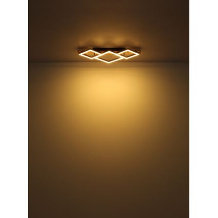 Globo - LED stropna svetilka LED/24W/230V + LED/8W 3000K 31x61cm