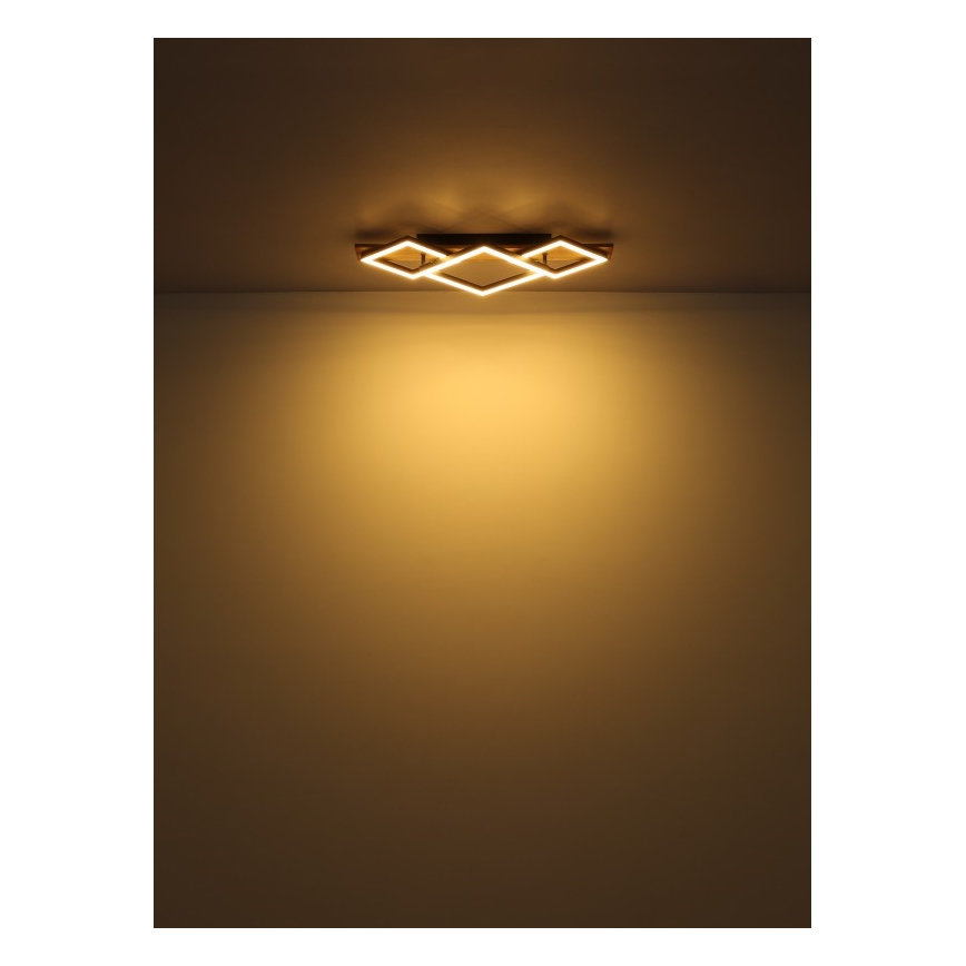 Globo - LED stropna svetilka LED/24W/230V + LED/8W 3000K 31x61cm