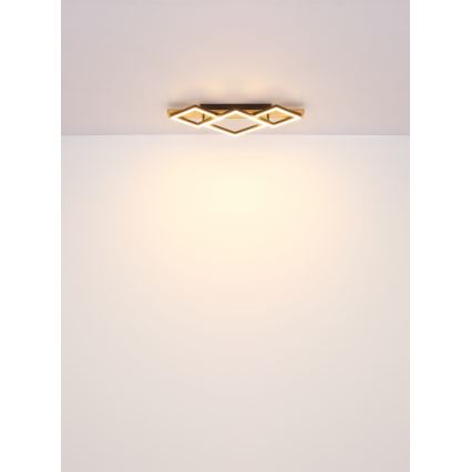 Globo - LED stropna svetilka LED/24W/230V + LED/8W 3000K 31x61cm