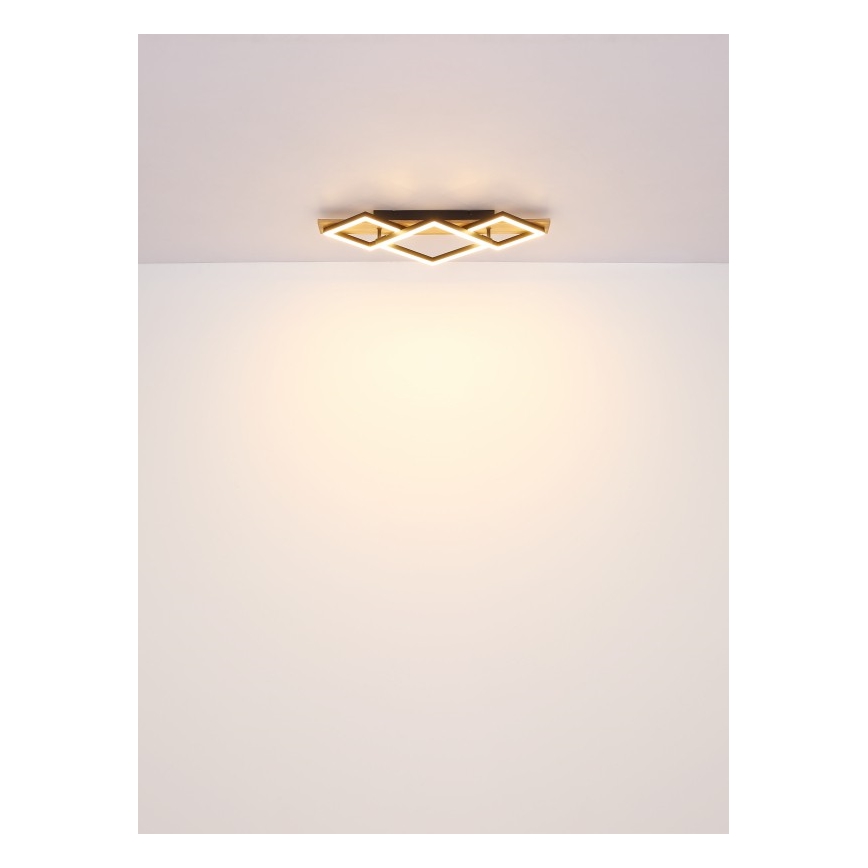Globo - LED stropna svetilka LED/24W/230V + LED/8W 3000K 31x61cm