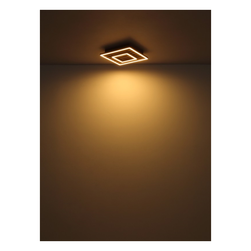 Globo - LED Stropna svetilka LED/18W/230V 3000K 30x30 cm