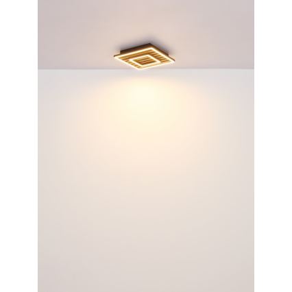 Globo - LED Stropna svetilka LED/18W/230V 3000K 30x30 cm