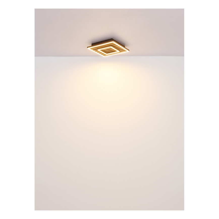 Globo - LED Stropna svetilka LED/18W/230V 3000K 30x30 cm