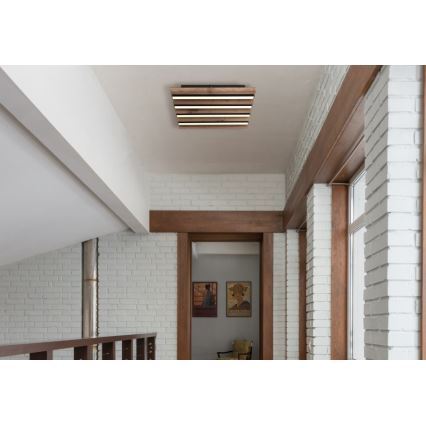 Globo - LED stropna svetilka LED/15W/230V 3000K 30x30 cm