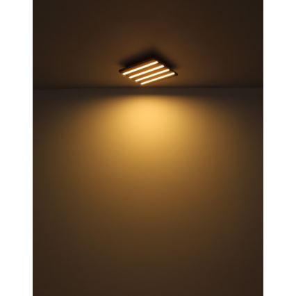Globo - LED stropna svetilka LED/15W/230V 3000K 30x30 cm