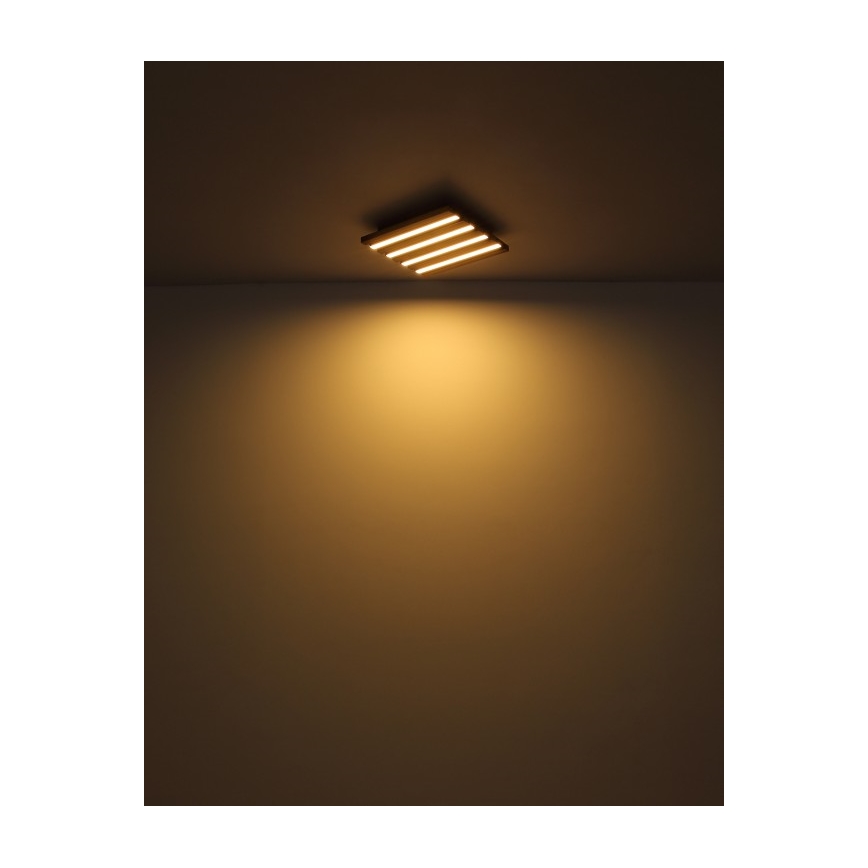 Globo - LED stropna svetilka LED/15W/230V 3000K 30x30 cm