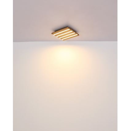 Globo - LED stropna svetilka LED/15W/230V 3000K 30x30 cm
