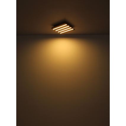 Globo - LED Stropna svetilka LED/30W/230V 3000K 45x45 cm les