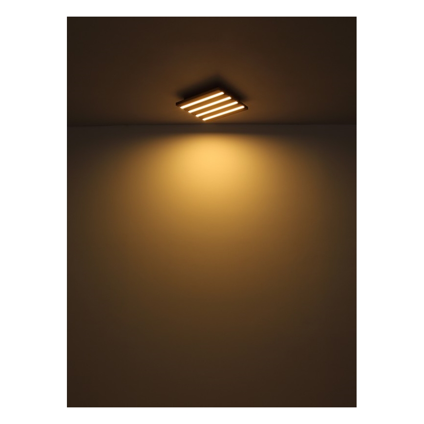 Globo - LED Stropna svetilka LED/30W/230V 3000K 45x45 cm les