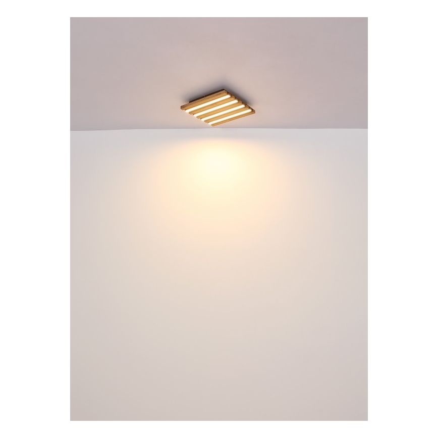 Globo - LED Stropna svetilka LED/30W/230V 3000K 45x45 cm les