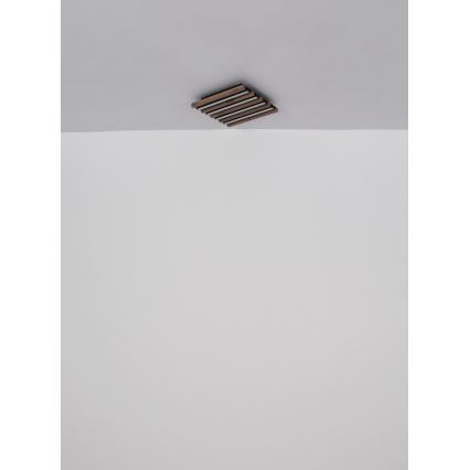 Globo - LED Stropna svetilka LED/30W/230V 3000K 45x45 cm les