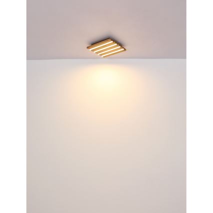Globo - LED Stropna svetilka LED/30W/230V 3000K 80x20 cm les