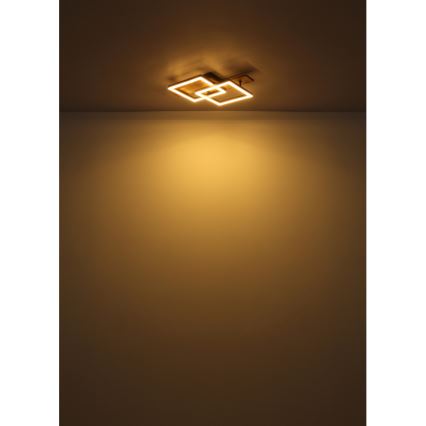 Globo - LED stropna svetilka LED/16W/230V 3000K 33x44 cm