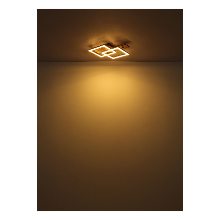 Globo - LED stropna svetilka LED/16W/230V 3000K 33x44 cm