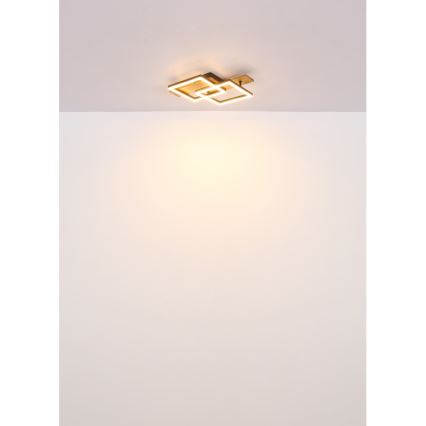 Globo - LED stropna svetilka LED/16W/230V 3000K 33x44 cm