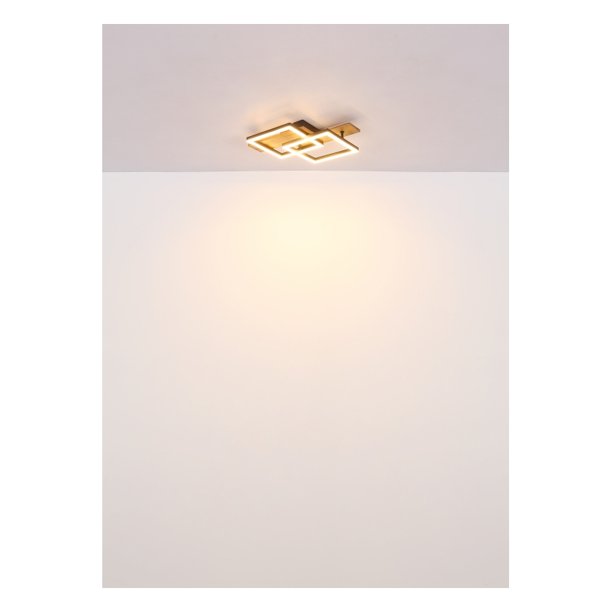 Globo - LED stropna svetilka LED/16W/230V 3000K 33x44 cm