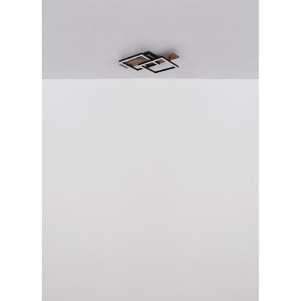 Globo - LED stropna svetilka LED/16W/230V 3000K 33x44 cm
