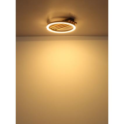 Globo - LED Stropna svetilka LED/12W/230V 3000K 30x34 cm