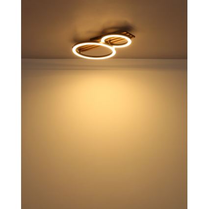 Globo - LED Stropna svetilka LED/18W/230V 3000K 30x48 cm