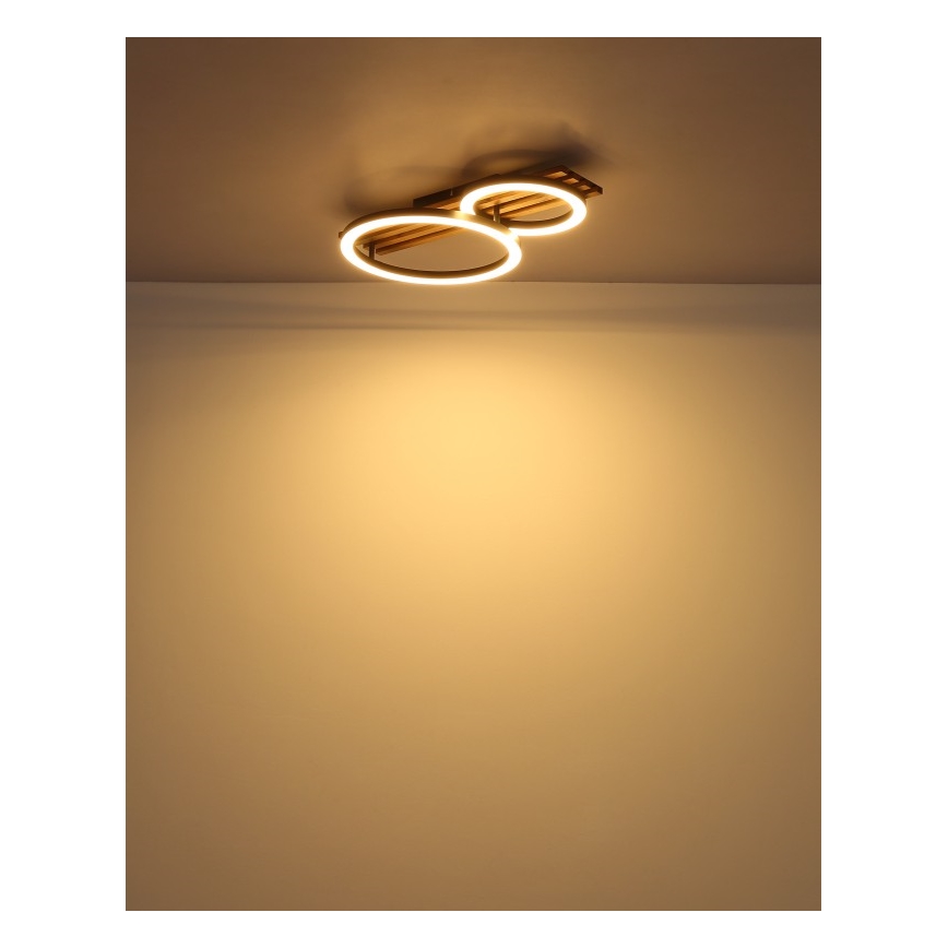 Globo - LED Stropna svetilka LED/18W/230V 3000K 30x48 cm