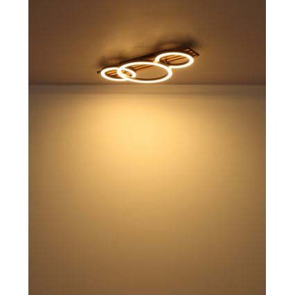 Globo - LED Stropna svetilka LED/24W/230V 3000K 30x62 cm