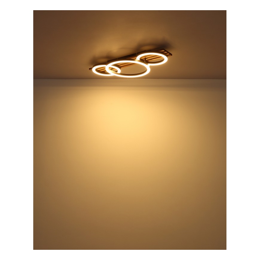 Globo - LED Stropna svetilka LED/24W/230V 3000K 30x62 cm