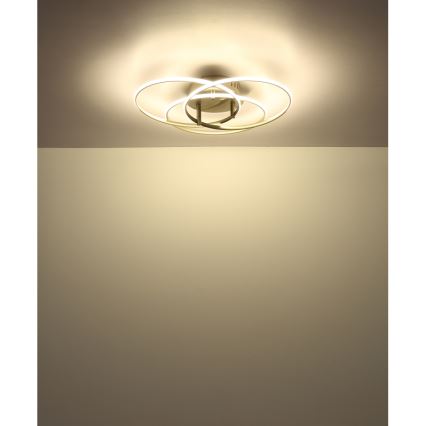 Globo - LED Stropna svetilka LED/40W/230V 4000K pr. 45,6 cm mat krom