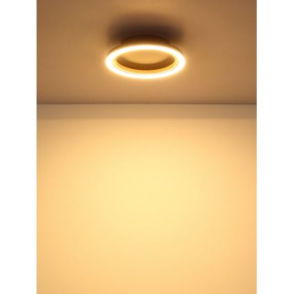 Globo - LED stropna svetilka LED/12W/230V 3000K premer 20,5 cm