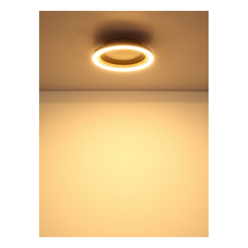 Globo - LED stropna svetilka LED/12W/230V 3000K premer 20,5 cm