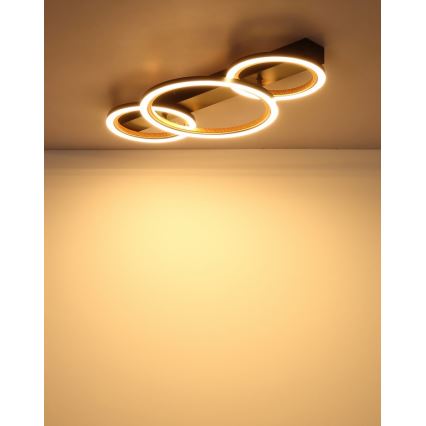 Globo - LED stropna svetilka LED/40W/230V 3000K 58x30 cm