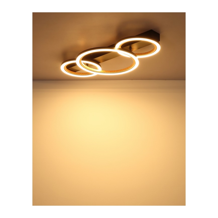 Globo - LED stropna svetilka LED/40W/230V 3000K 58x30 cm
