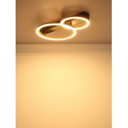 Globo - LED stropno svetilo LED/30W/230V 3000K 44x30 cm