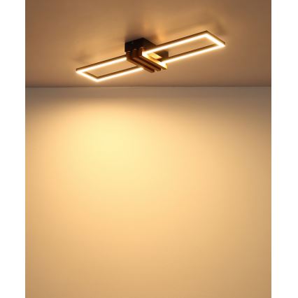 Globo - LED stropna svetilka LED/20W/230V 3000K 60x16,8 cm