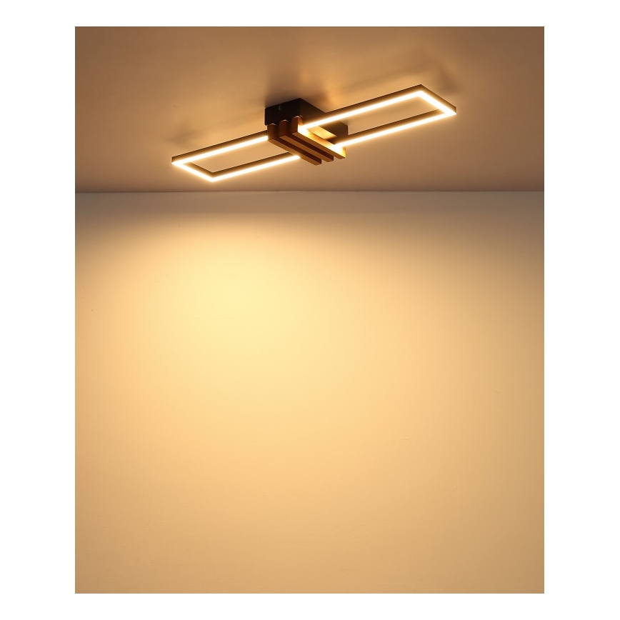 Globo - LED stropna svetilka LED/20W/230V 3000K 60x16,8 cm