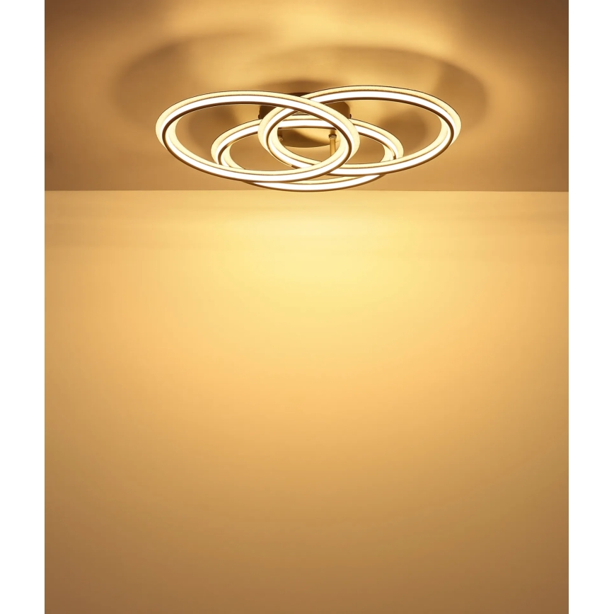 Globo - LED stropna svetilka LED/40W/230V 3000K premer 52 cm