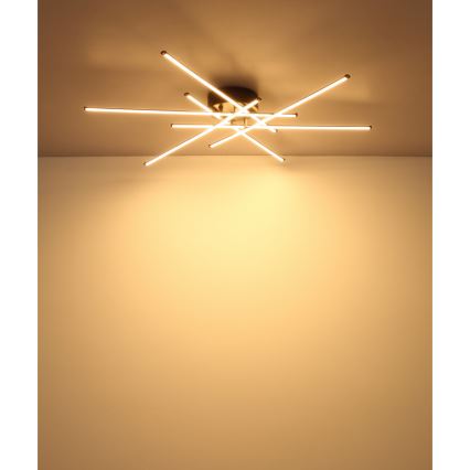 Globo - LED Stropna svetilka LED/40W/230V 3000K črna