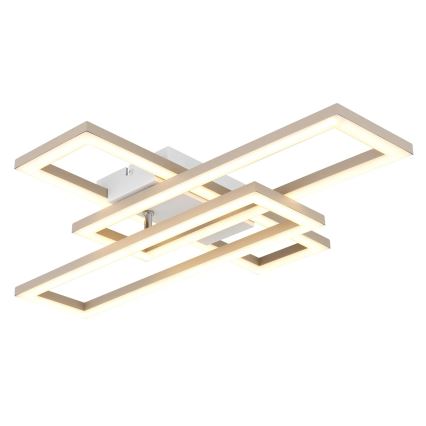 Globo - LED stropno svetilo LED/24W/230V 3000/4000/6000K