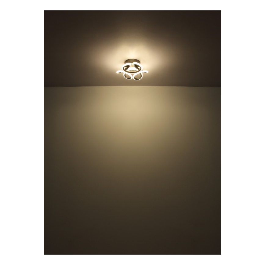 Globo - LED Stropna svetilka LED/24W/230V 2700/4000/6000K pr. 26 cm črna