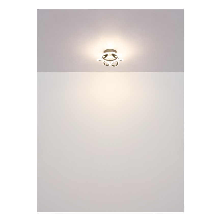Globo - LED Stropna svetilka LED/24W/230V 2700/4000/6000K pr. 26 cm črna