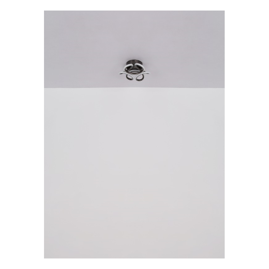 Globo - LED Stropna svetilka LED/24W/230V 2700/4000/6000K pr. 26 cm črna